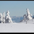 038-Col du Grand Ballon