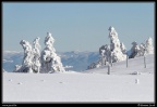 038-Col du Grand Ballon