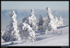 041-Col du Grand Ballon