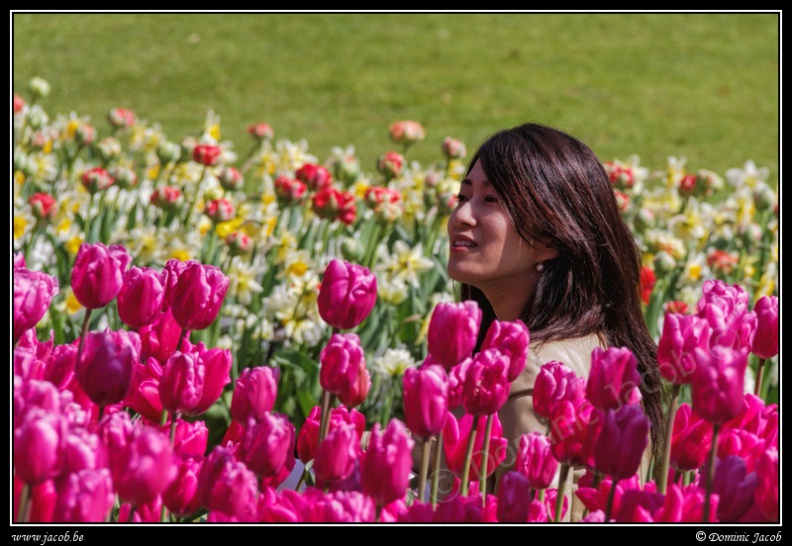 016s-Bain de tulipes.jpg