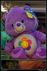 0795-Teddy