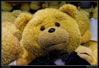 0794-Teddy