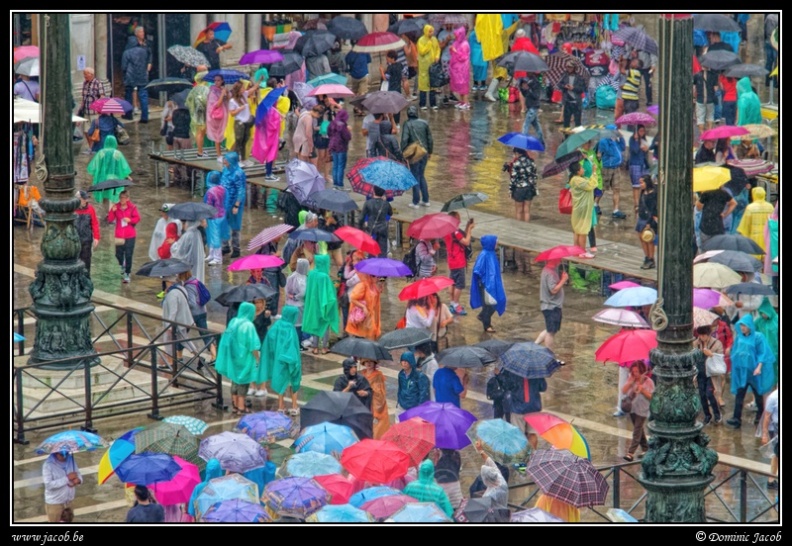 161i-Sous la pluie.jpg