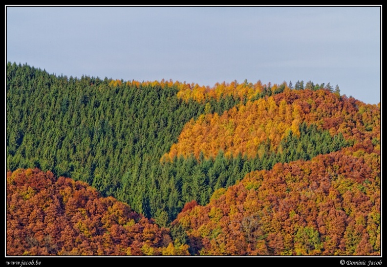 073m-Colline Outrelepont