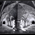 007-Abbaye de Fontenay