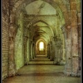 016-Abbaye de Fontenay