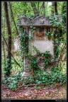 005-Wien Friedhof