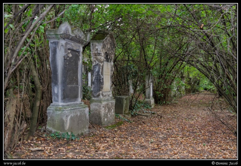 011-Wien Friedhof