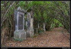 011-Wien Friedhof