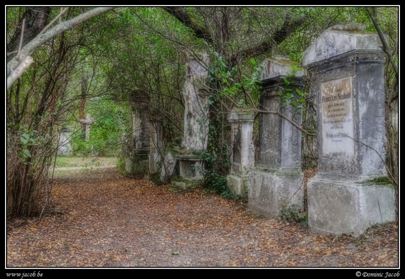 012-Wien Friedhof