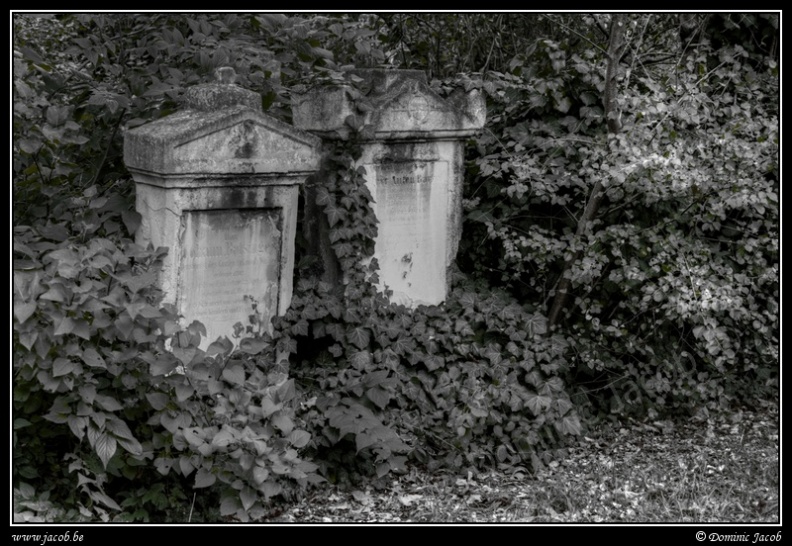 014-Wien Friedhof.jpg