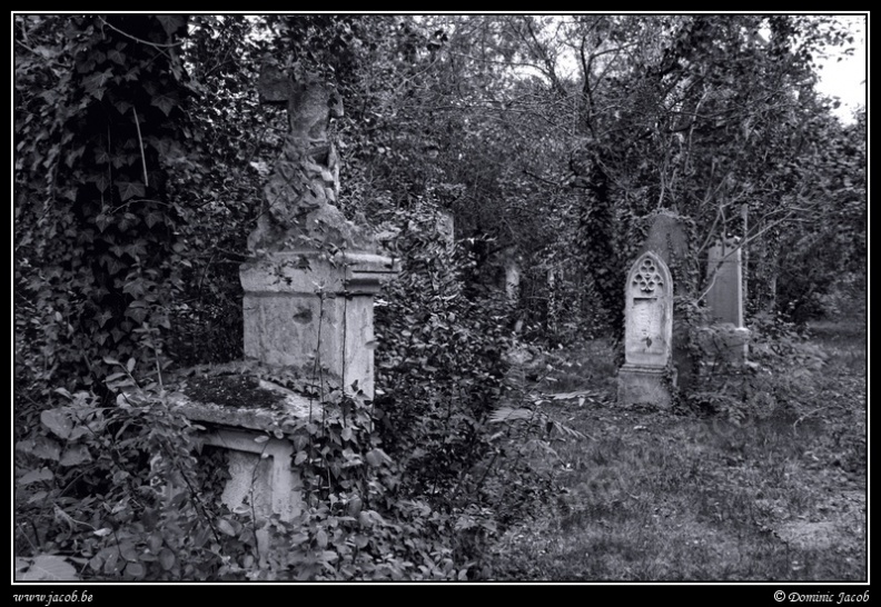 017-Wien Friedhof.jpg