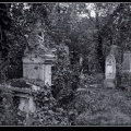 017-Wien Friedhof