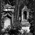 019-Wien Friedhof