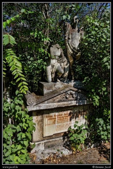 024-Wien Friedhof.jpg