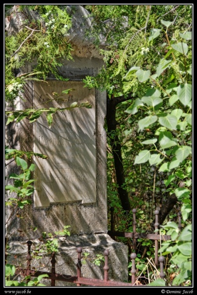 028-Wien Friedhof.jpg