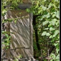 028-Wien Friedhof