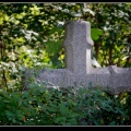 030-Wien Friedhof