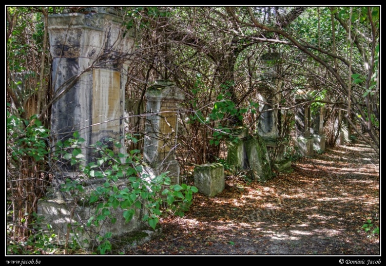 031-Wien Friedhof.jpg