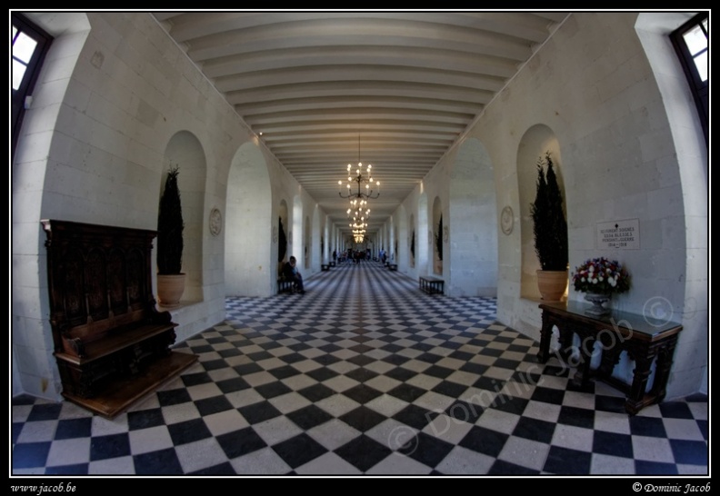 005-Chenonceau.jpg