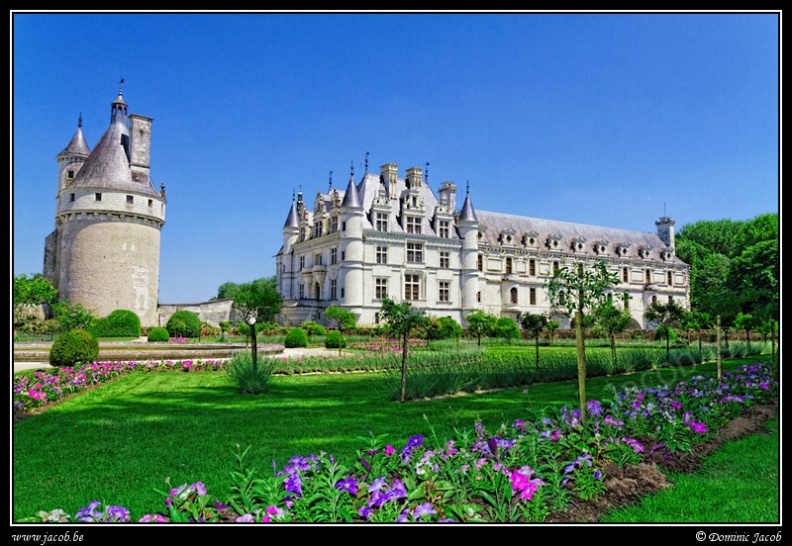 010-Chenonceau