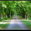 017-Chenonceau