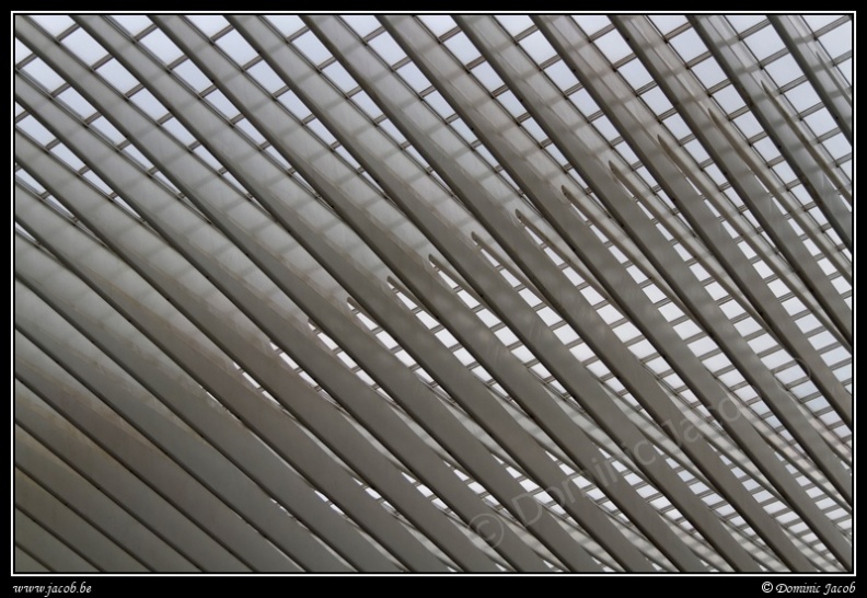 006-Guillemins.jpg