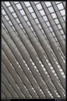 007-Guillemins