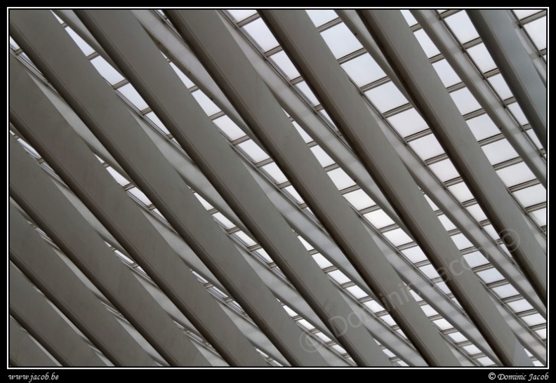 010-Guillemins