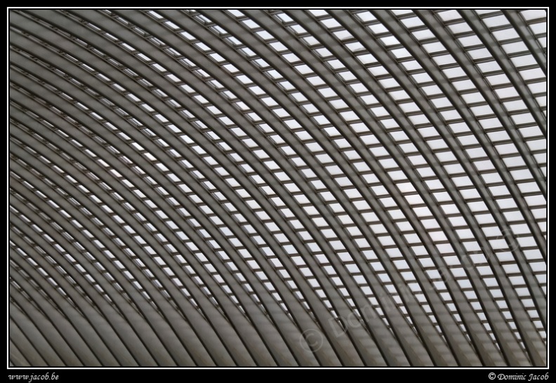 012-Guillemins