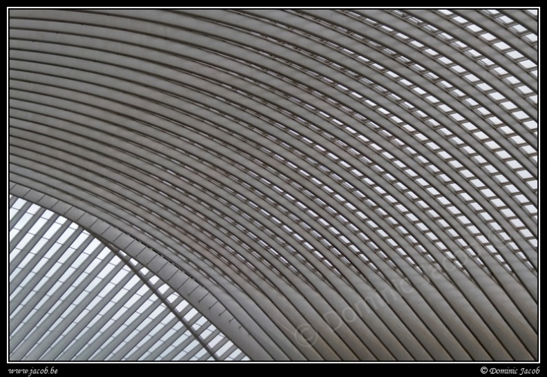 011-Guillemins.jpg