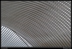 011-Guillemins