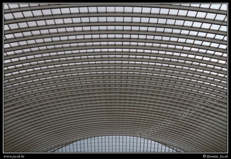 014-Guillemins.jpg