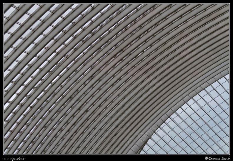 016-Guillemins.jpg