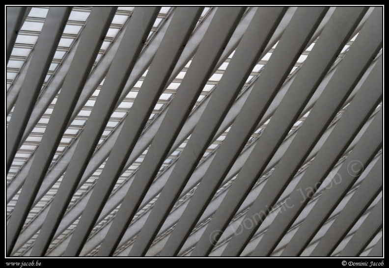 018-Guillemins