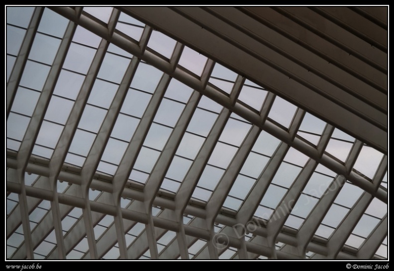 017-Guillemins.jpg