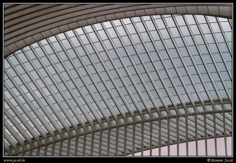 019-Guillemins