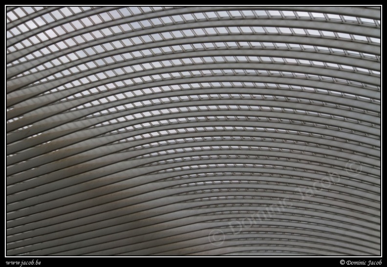 020-Guillemins