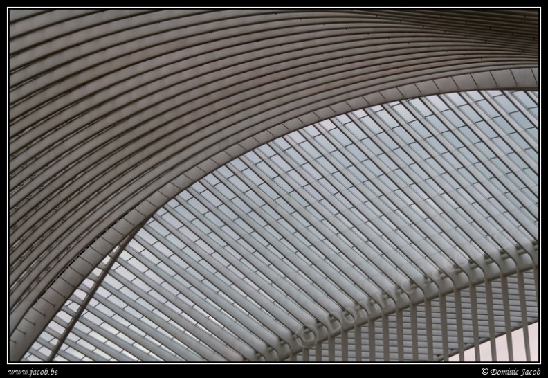 021-Guillemins