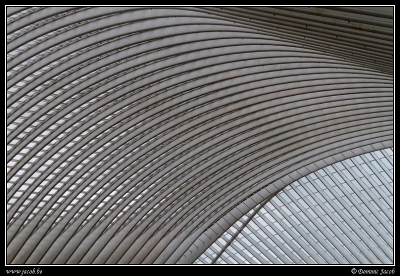 022-Guillemins.jpg