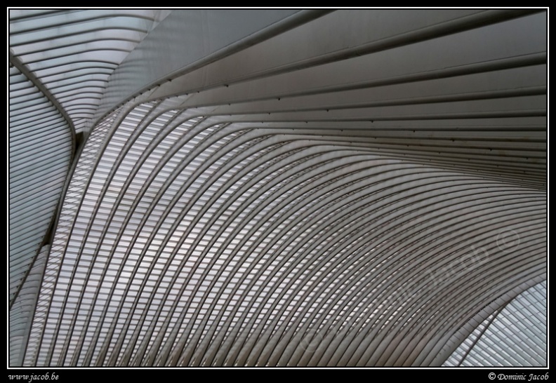 023-Guillemins.jpg