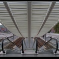 025-Guillemins