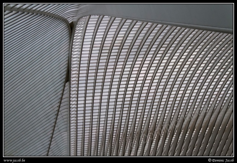 024-Guillemins