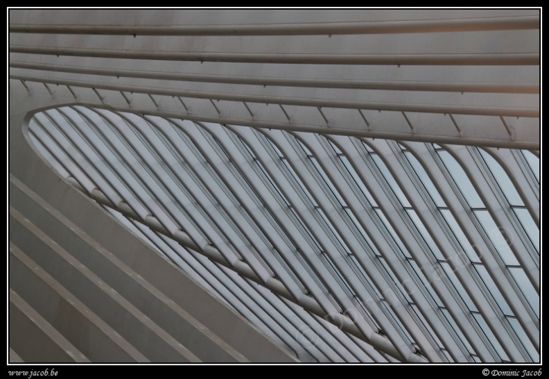 028-Guillemins.jpg