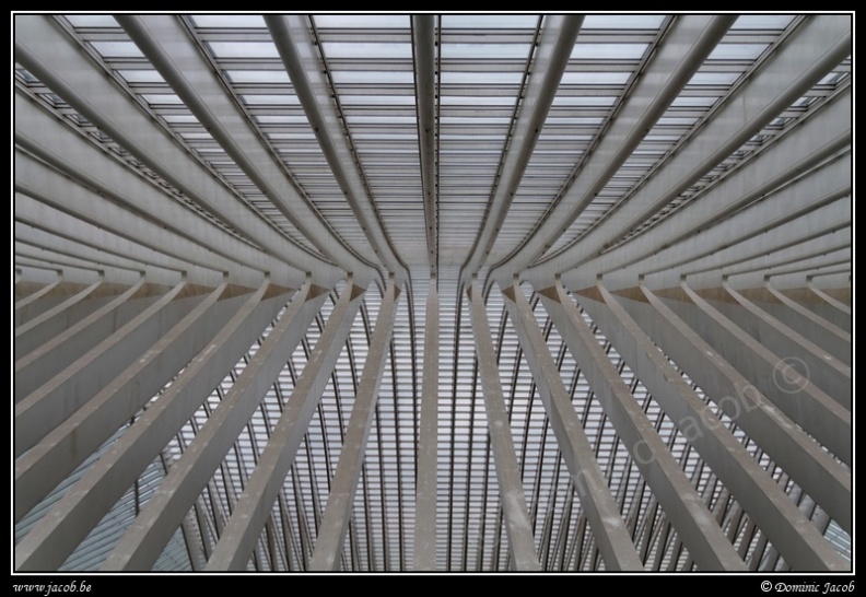 027-Guillemins.jpg