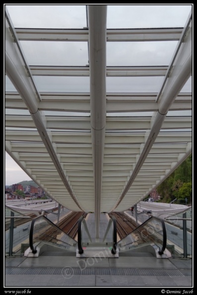 026-Guillemins