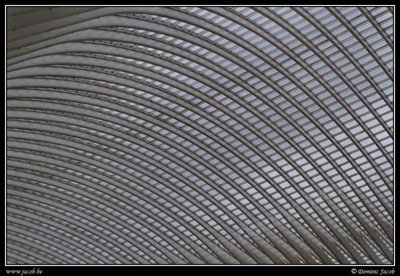 030-Guillemins