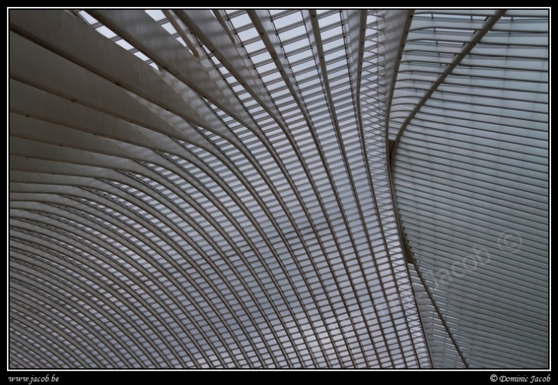 031-Guillemins.jpg