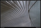 031-Guillemins