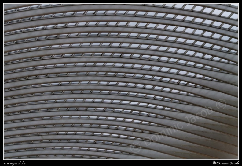 033-Guillemins.jpg
